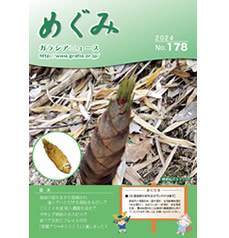 めぐみ